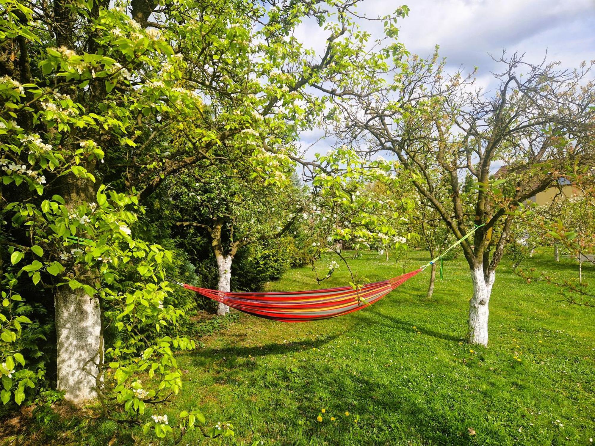 Rozbrykany Muflon Casa rural *