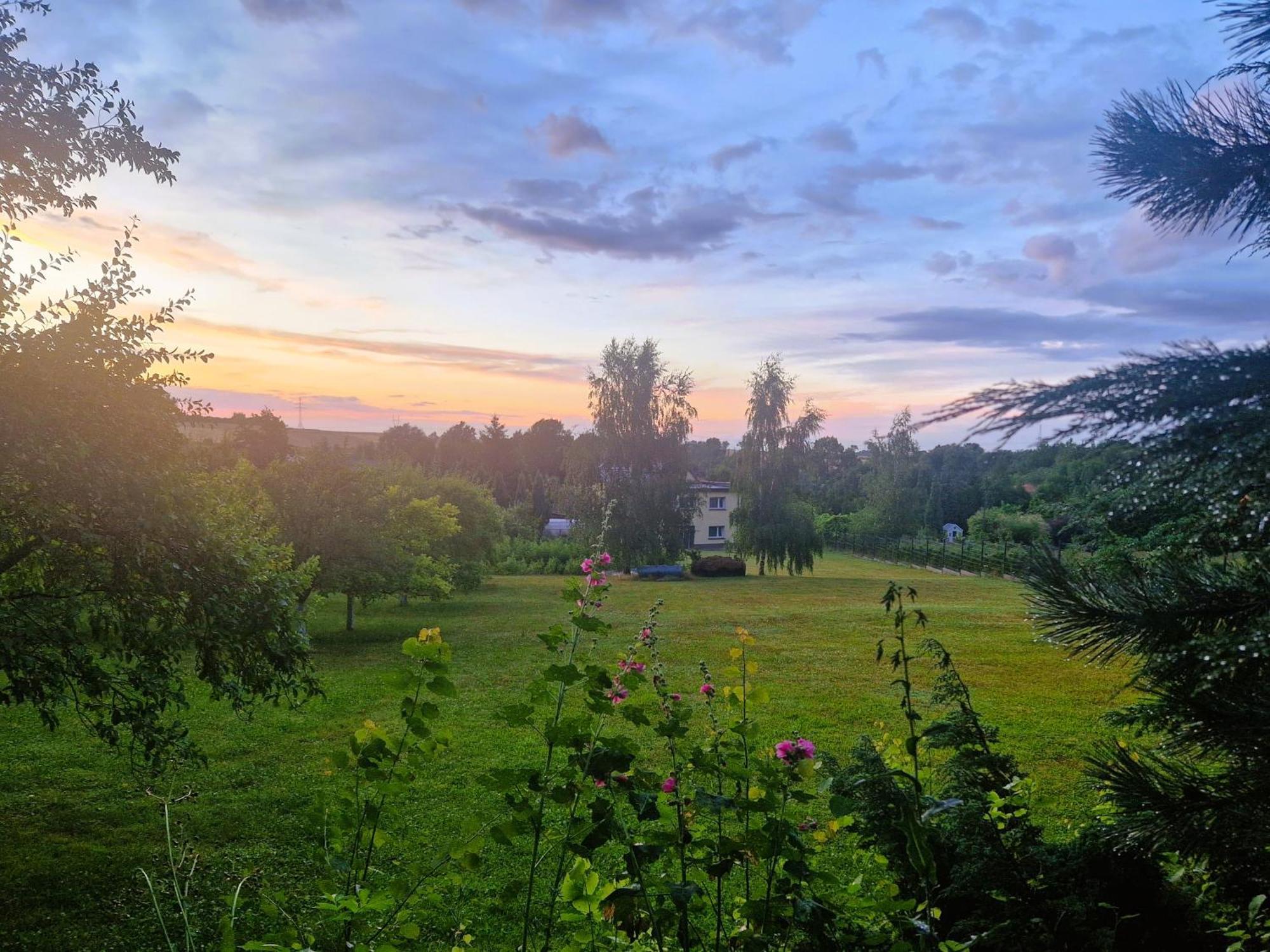Country house Rozbrykany Muflon Witoszow Dolny