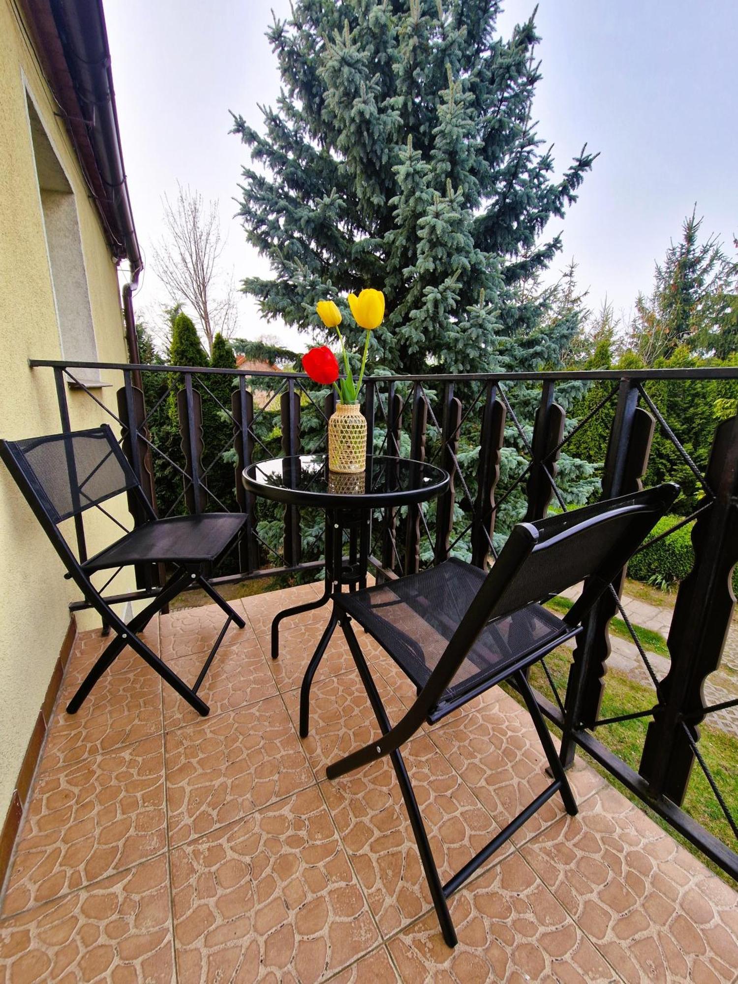 Country house Rozbrykany Muflon Witoszow Dolny