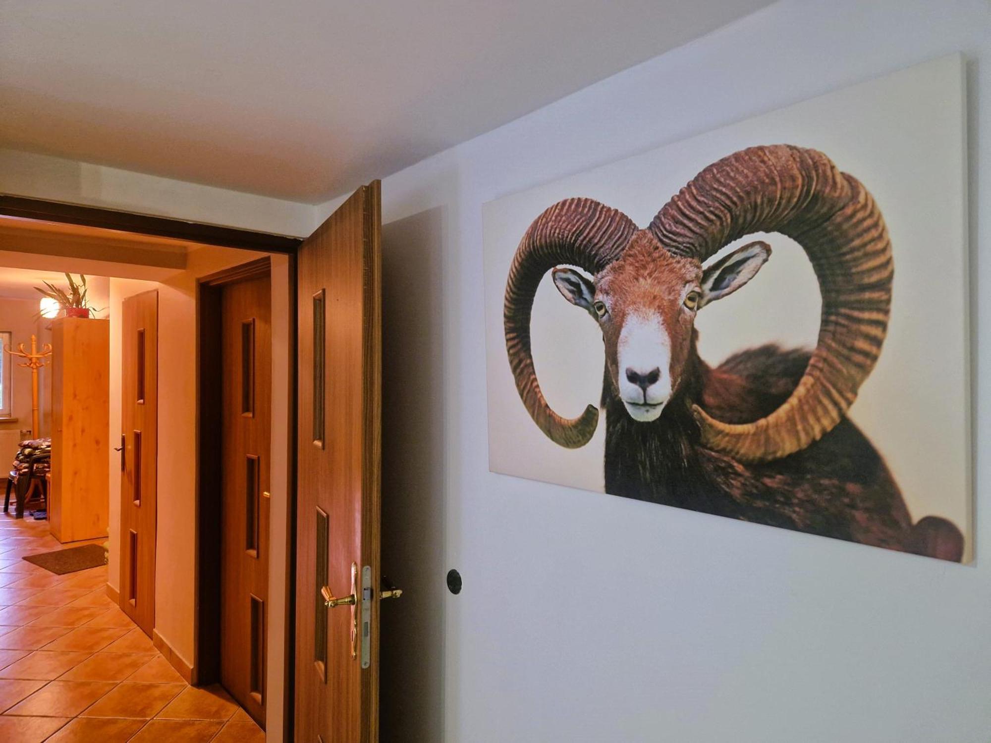 Casa rural Rozbrykany Muflon *