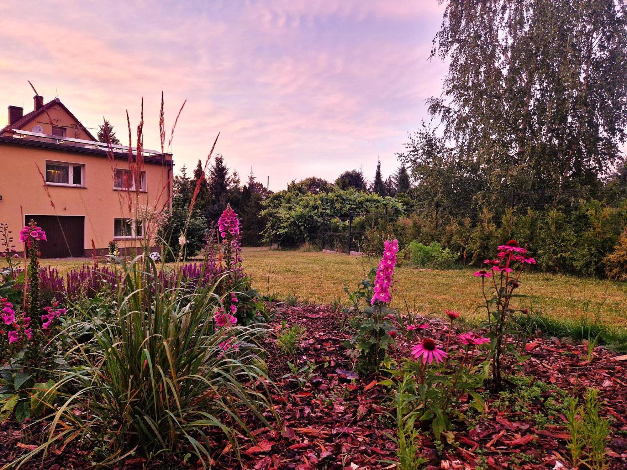 Rozbrykany Muflon Country house *